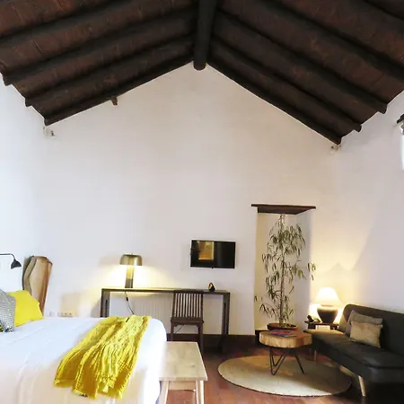 Hotel Boutique Gastronomico Palacio Ico (Adults Only)-2