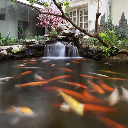 Hacinco Hotel-2