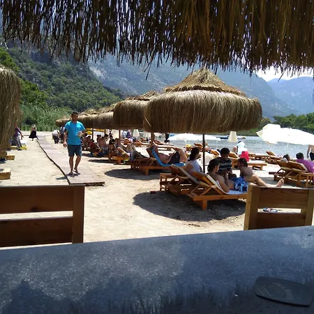 Green Pine Beach & Bungallows-2