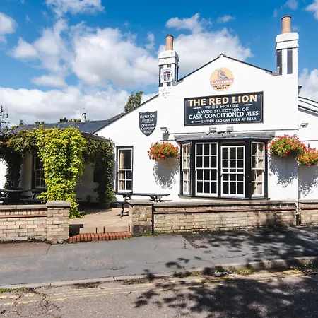 The Red Lion-2