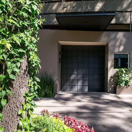 Dominion Polanco-2