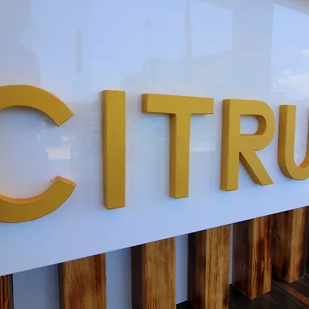 Hotel Citrus-3