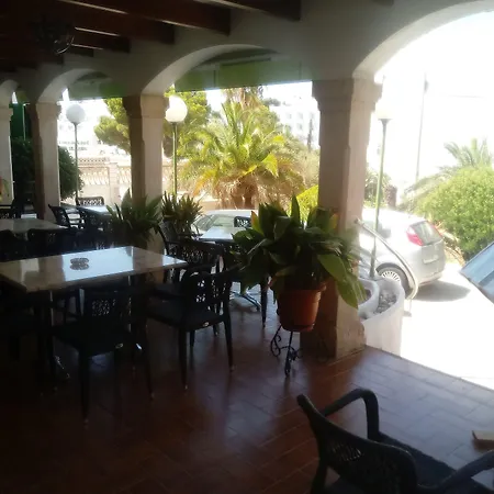 Oasis D'Or-2