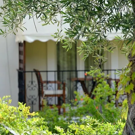 Paxos Club Resort & Spa-3