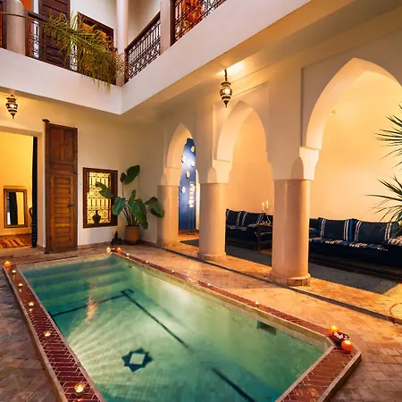 Riad Darhani-3