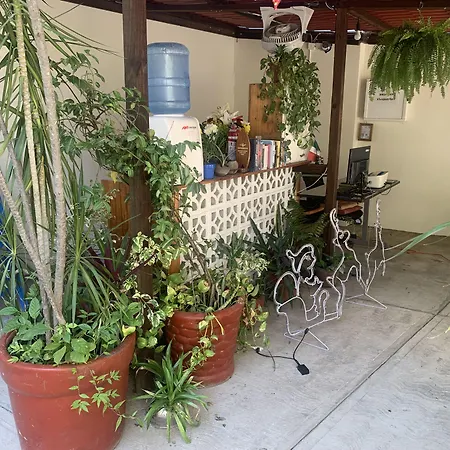 Brisamar Guesthouse-3