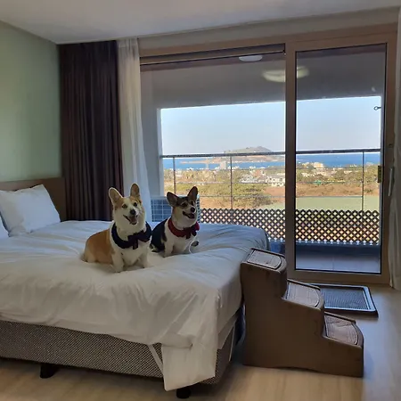 Hi Jeju Hotel-2
