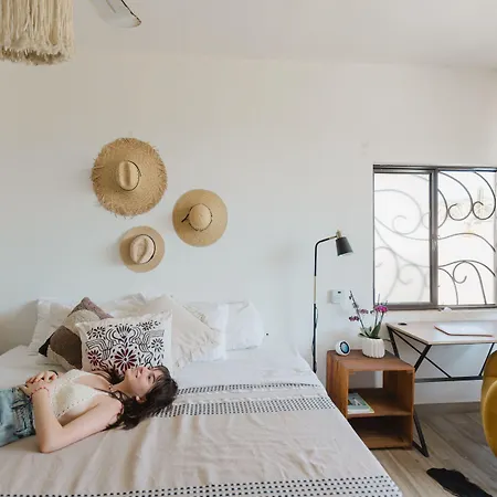 Casa Fenix-3