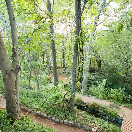 Creekside Inn Sedona-3