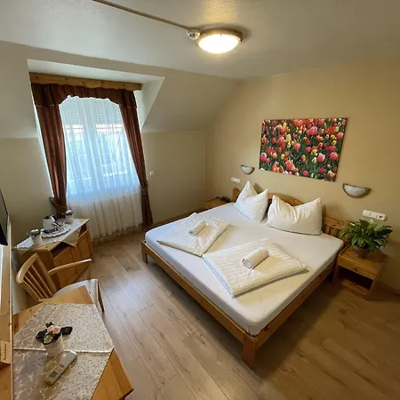 Hotel Karin-2