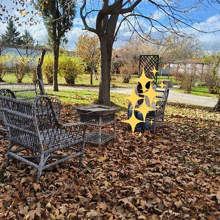 Galeria In The Garden-2