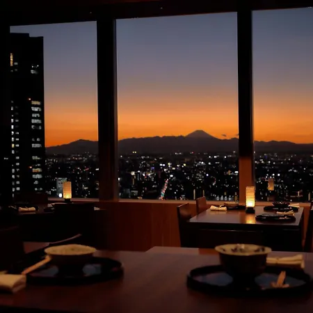 Park Hyatt Tokyo-3