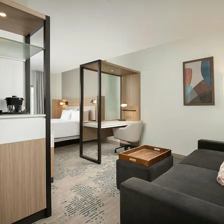 Springhill Suites By Marriott Houston Brookhollow-3