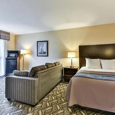 Comfort Inn & Suites Ambassador Bridge-2