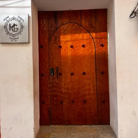 Hotel Galeria la Trinidad-2