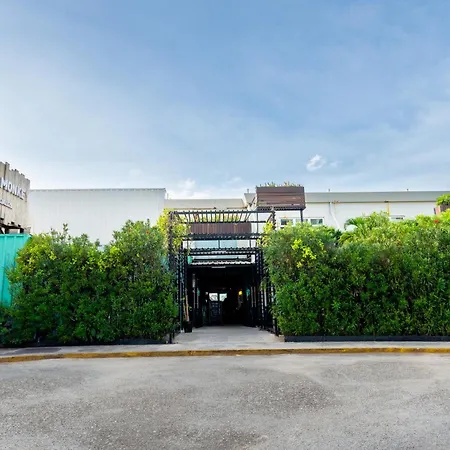 Mayan Monkey Cancun - Social Hostel (Adults Only)-3