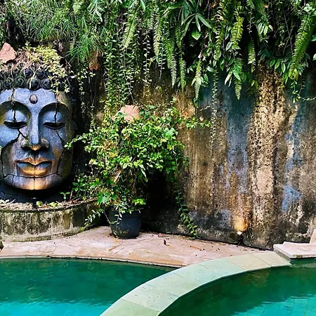 Sattva Garden House-2