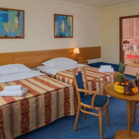 Top Hotel Praha-2
