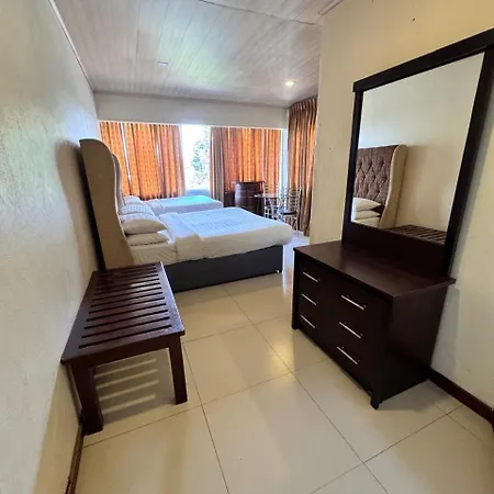 Single Tree Hotel-2