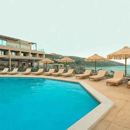 Zeus Eleva Miraya (Adults Only)-3