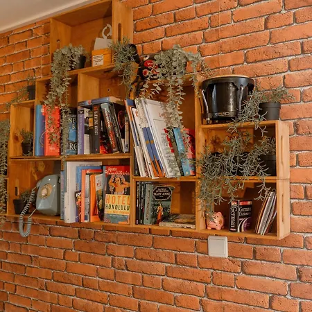 Ole Backpackers Hostel-3