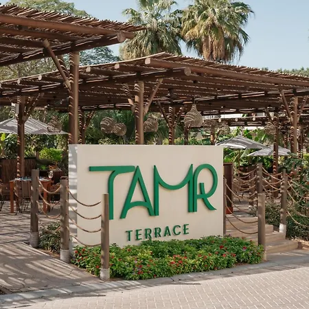 Ja Palm Tree Court, Dubai-2