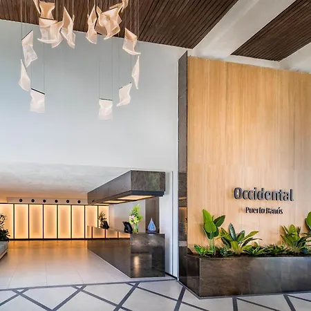 Occidental Puerto Banus-2