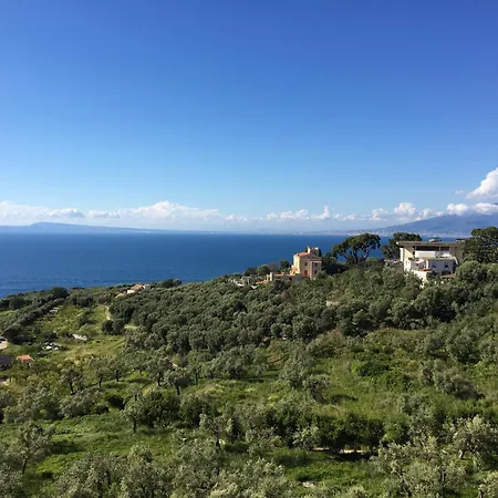 Hotel Dania-3