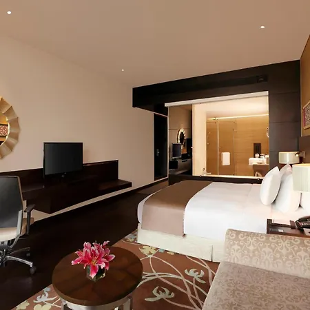 Hilton Jaipur-2