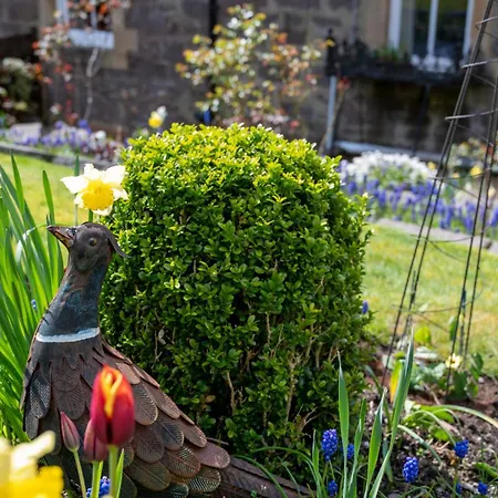 Leven House Bed And Breakfast-2
