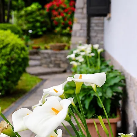 Bed&Breakfast Gli Oleandri-2