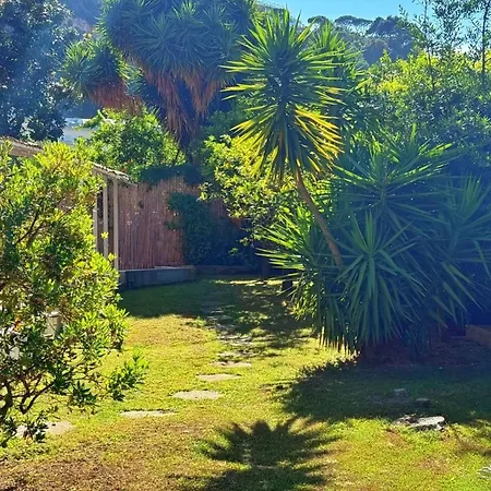 Giardino Archeologico-2
