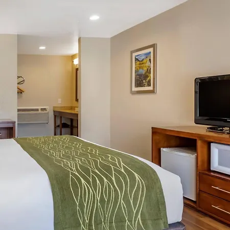 Comfort Inn Bishop-3