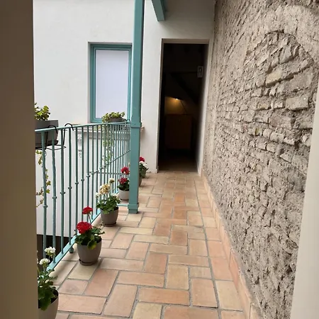Alegoria Coliving Experience-2