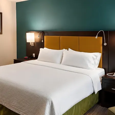Holiday Inn Tampico-Altamira By Ihg-3