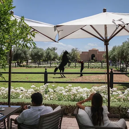 Selman Marrakech-3