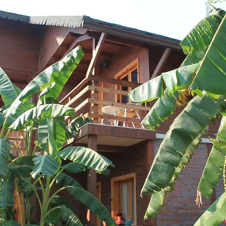 Guesthouse Vila Druri Dhermi-2
