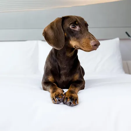Hotel Meliá Bilbao-2