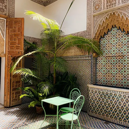 Riad Zyo-3