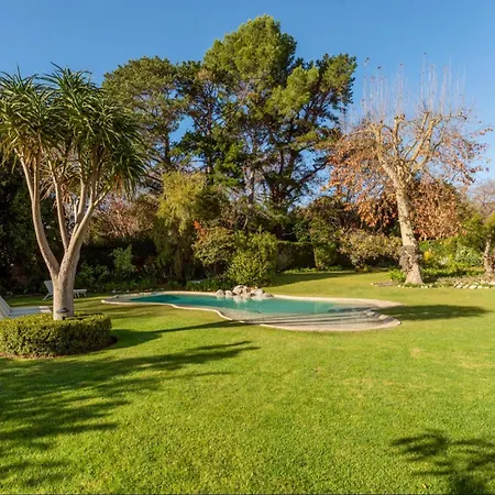 Beluga Of Constantia Guest House-3