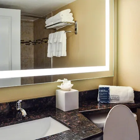 Radisson Hotel Orlando Lake Buena Vista South-2