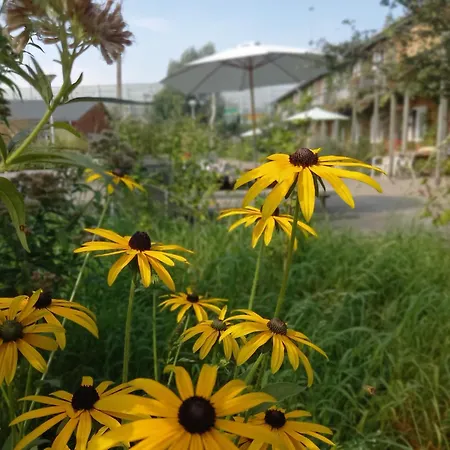 Amsterdam Farm Lodge-2