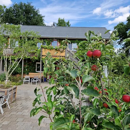 Amsterdam Farm Lodge-2