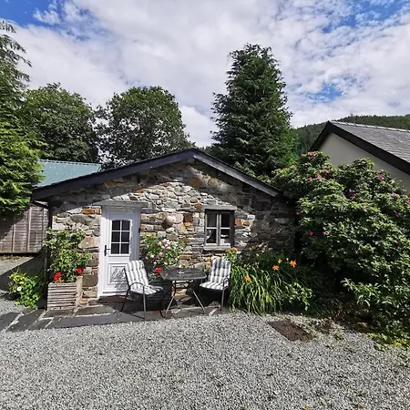 Dolweunydd Bed And Breakfast-3