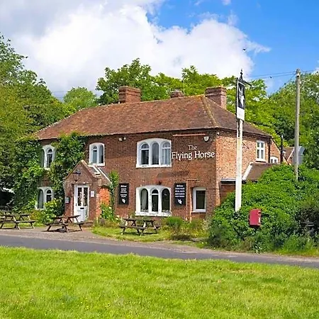 The Flying Horse-2