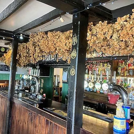 The Flying Horse-3