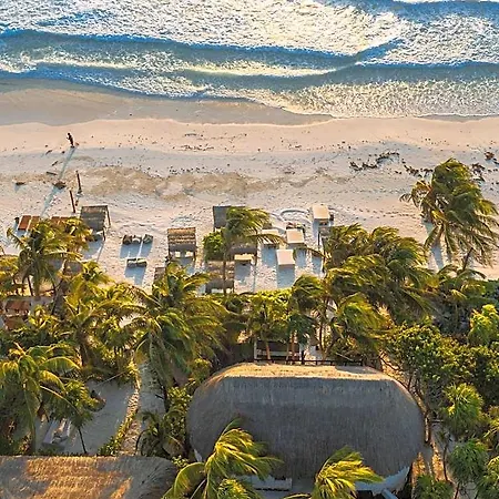 Nest Tulum-3