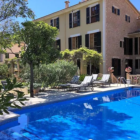 The Salvia - Adults Only-3
