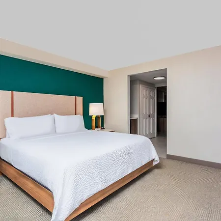 Holiday Inn Hotel & Suites Daytona Beach On The Ocean By Ihg-3