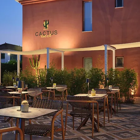 Cactus Hotel-2